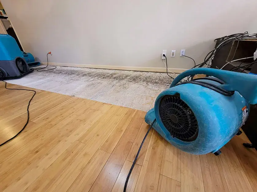 Air movers drying a hardwood floor after a leak in a Yucaipa, CA home