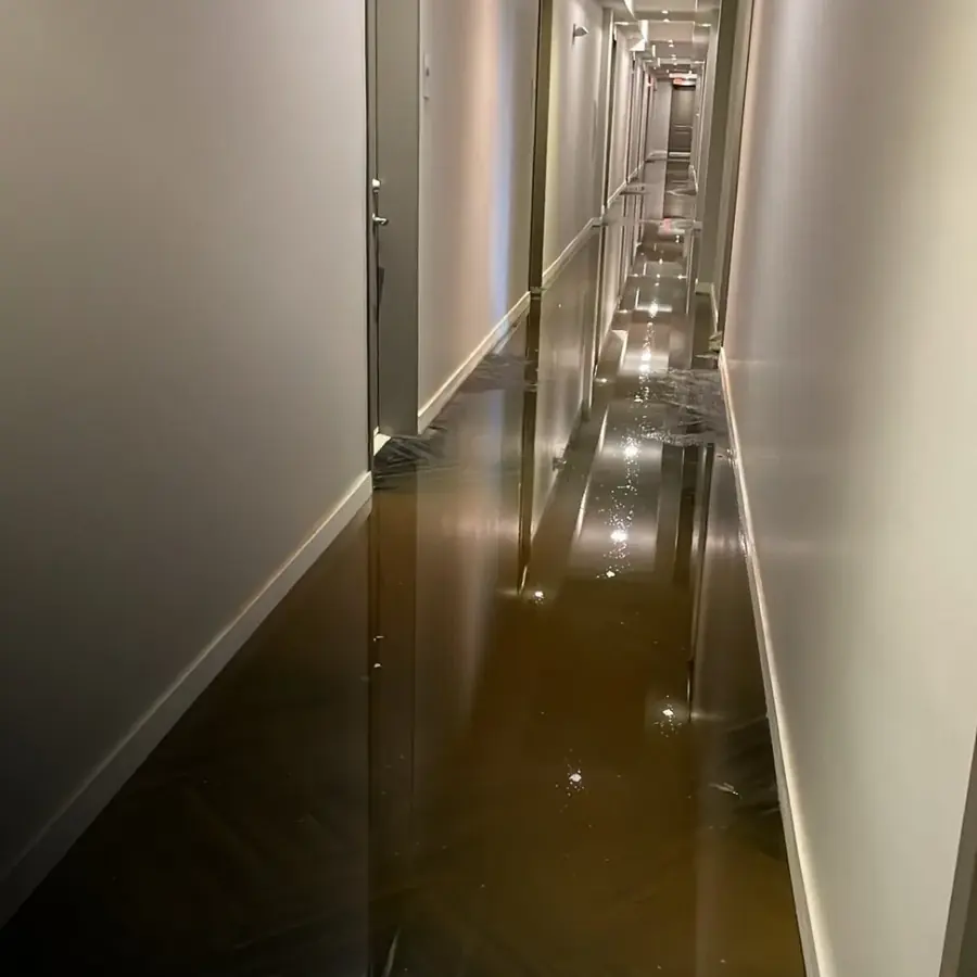Storm runoff pumped from a lower level in a Yucaipa, CA home