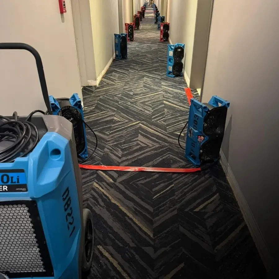 Structural Drying & Dehumidification in a Yucaipa, CA home